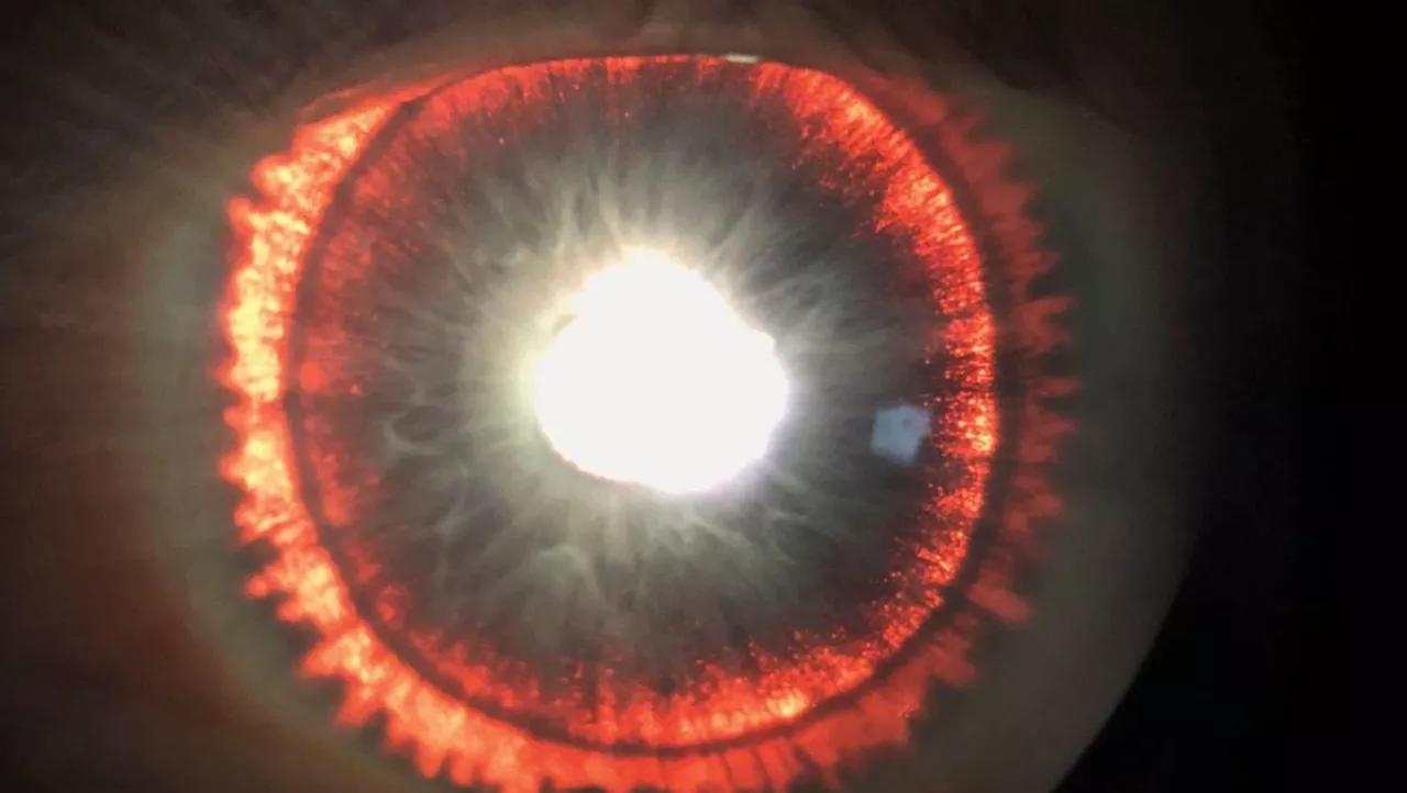 Scientists Discover Undersea Volcano That Looks Like Eye of Sauron Scientists Discover Undersea Volcano That Looks Like Eye of Sauron
