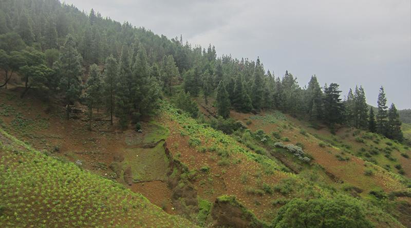 ADAD calls for joining efforts to combat desertification and drought in Cabo Verde ADAD calls for joining efforts to combat desertification and drought in Cabo Verde