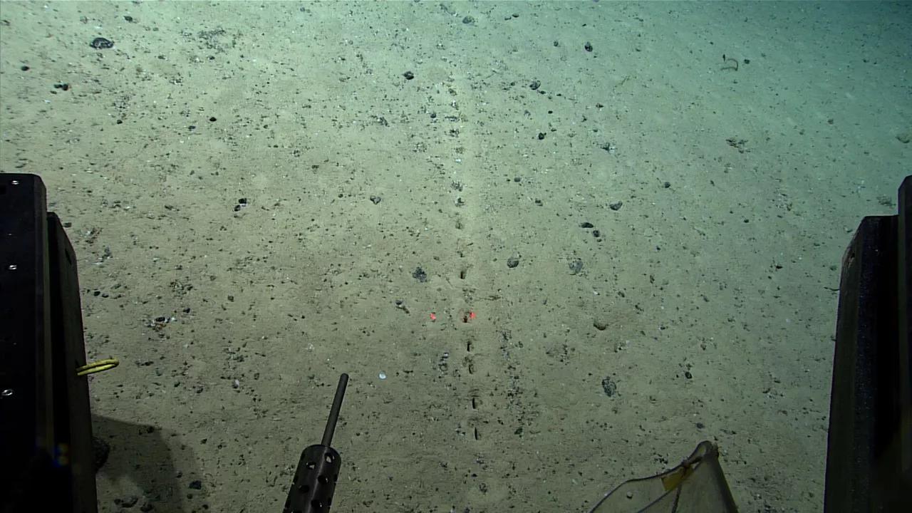 Scientists Discover Bizarre Orderly Holes Along Seafloor in Mid-Atlantic Ridge Scientists Discover Bizarre Orderly Holes Along Seafloor in Mid-Atlantic Ridge