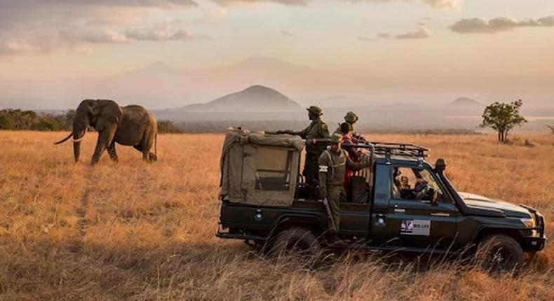 Africa’s wildlife rangers gear up for 2022 wildlife ranger challenge