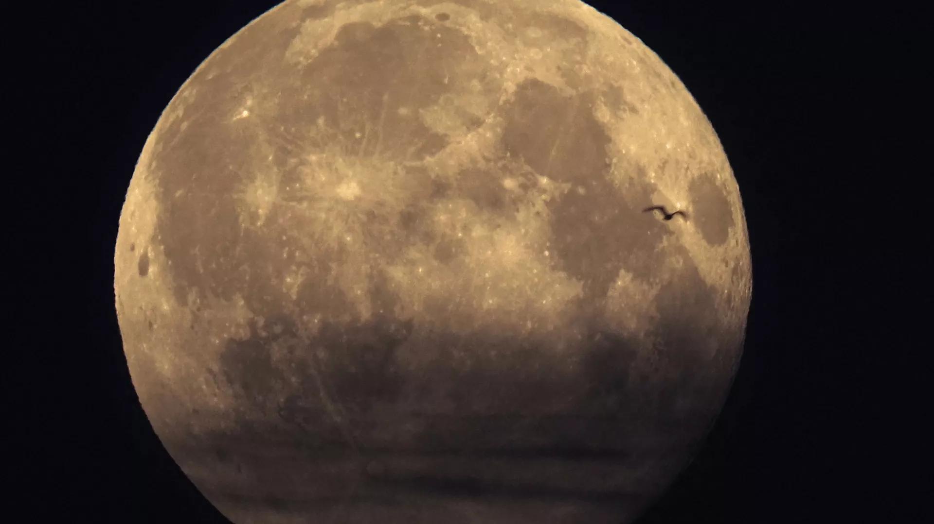 Moon Formed in Mere Hours After Catastrophic Collision of Planets, New Study Suggests Moon Formed in Mere Hours After Catastrophic Collision of Planets, New Study Suggests