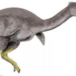 Fossilized Leg Bones of Potentially Largest Bird Ever Unearthed in Australia Fossilized Leg Bones of Potentially Largest Bird Ever Unearthed in Australia