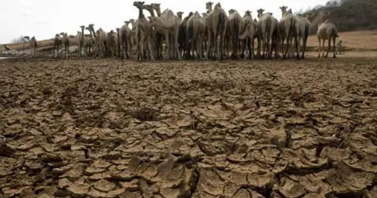 On Our Terms: An Open Letter to the 2022 UN Climate Change Conference (COP 27) African Delegates On Our Terms: An Open Letter to the 2022 UN Climate Change Conference (COP 27) African Delegates