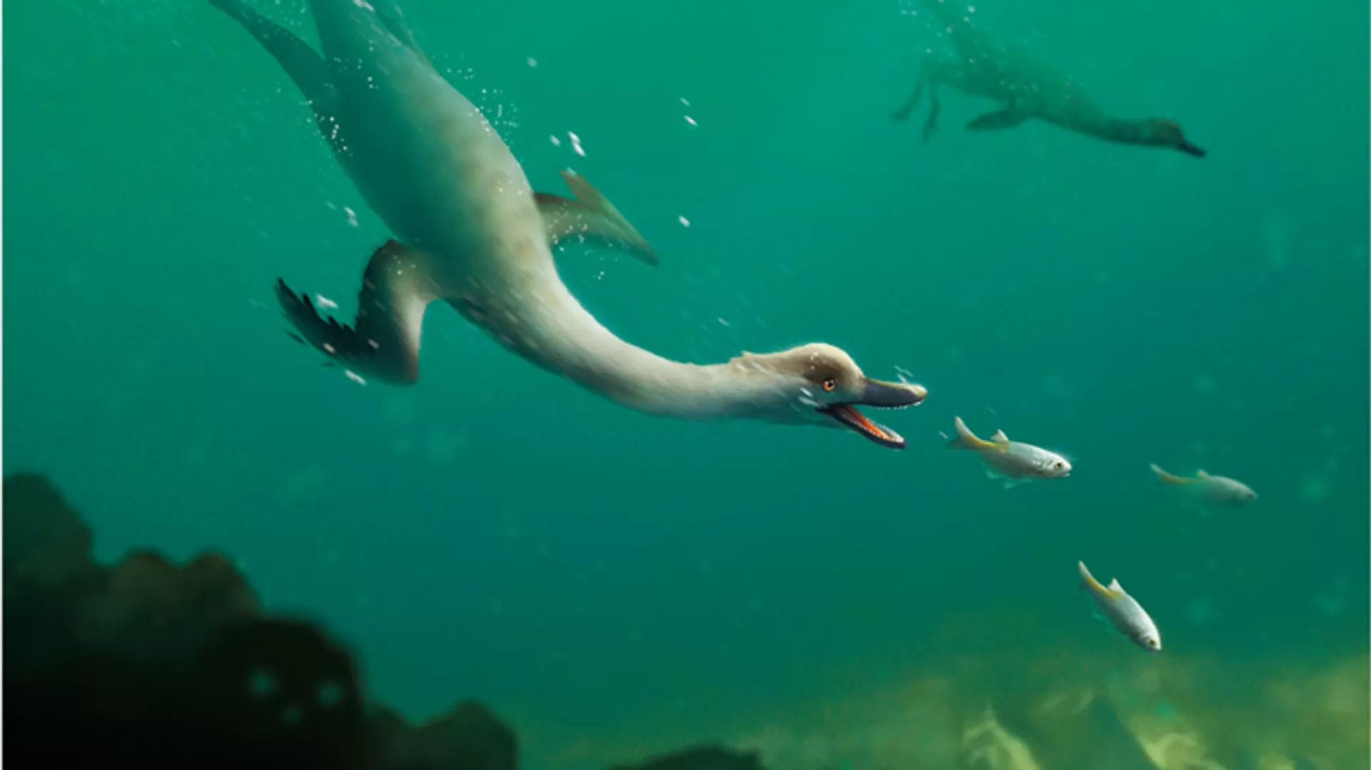 Scientists Find First Non-Avian Swimming Dinosaur in Mongolia Scientists Find First Non-Avian Swimming Dinosaur in Mongolia