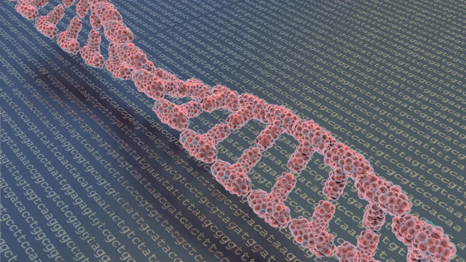 Scientists Reveal Blood Group With High Risk of Early Stroke Scientists Reveal Blood Group With High Risk of Early Stroke