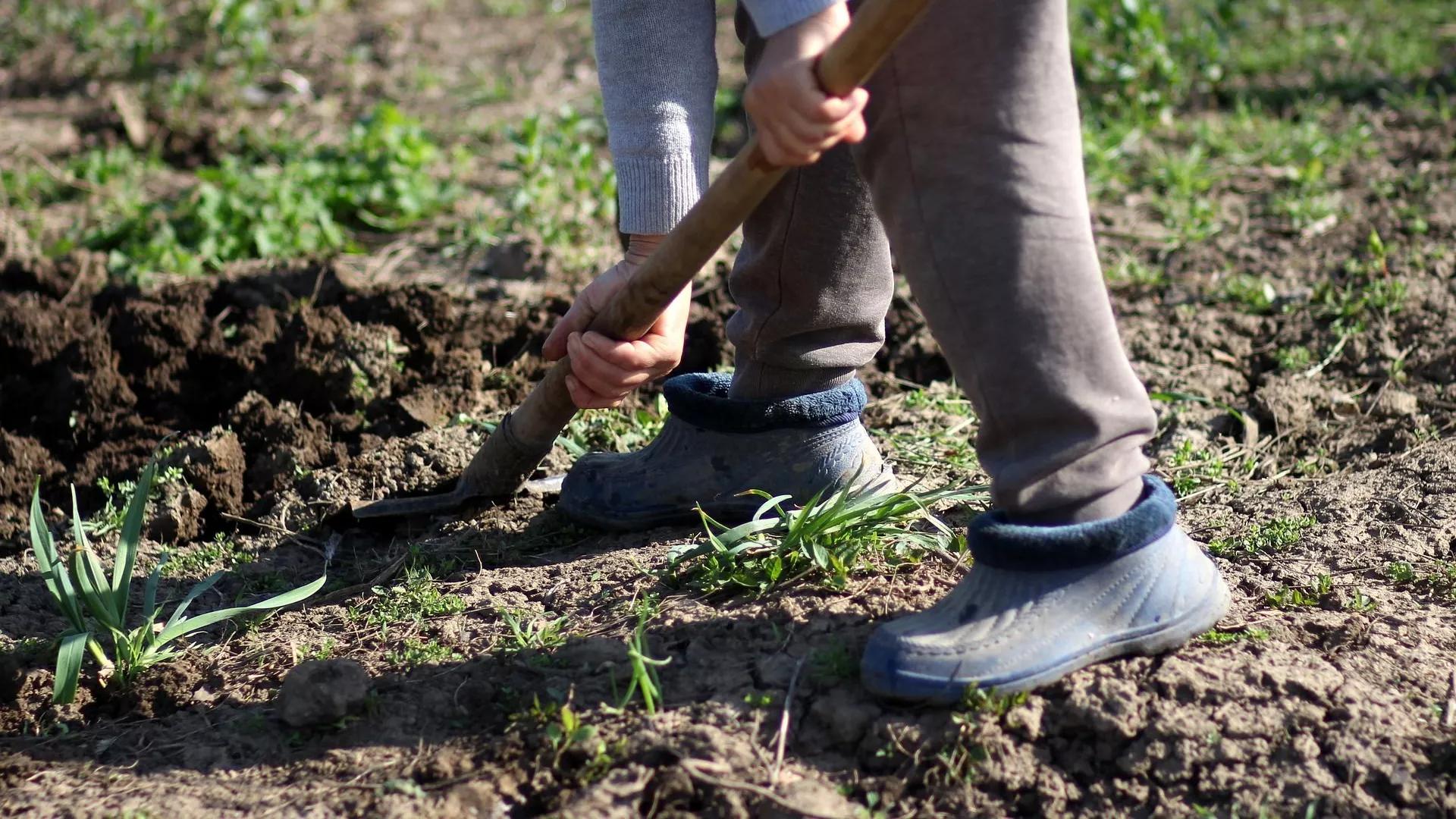 Norwegian Amateur Archeologists Dig Up 5,000-Year-Old Battle Axe Norwegian Amateur Archeologists Dig Up 5,000-Year-Old Battle Axe