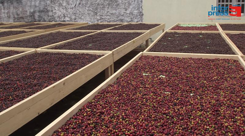 Fogo: Fogo Coffee Spirit Company and the Association of Coffee Producers have different language – Amarildo Baessa Fogo: Fogo Coffee Spirit Company and the Association of Coffee Producers have different language – Amarildo Baessa