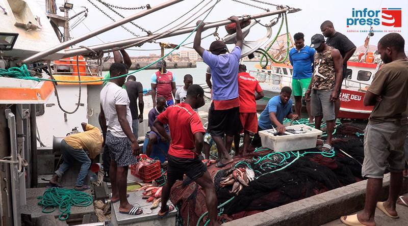 Fishermen warn of impact of fish shortage on income of Cape Verdean families