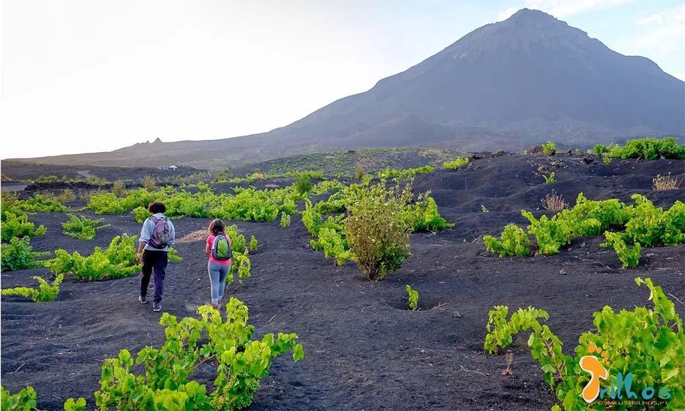 Fogo: Higher education starts in October with two courses Fogo: Higher education starts in October with two courses