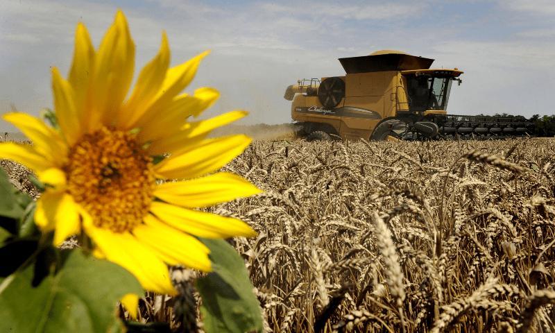 Russia to deliver free grain to Africa within ‘two weeks’ Russia to deliver free grain to Africa within ‘two weeks’