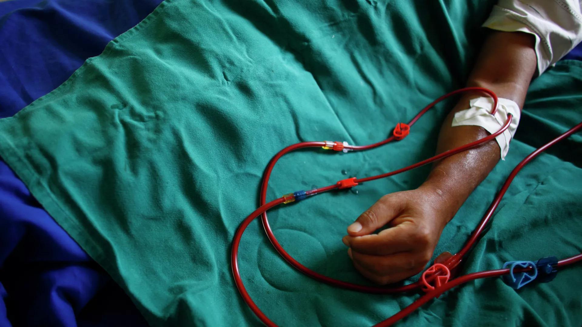 US Scientists Make Kidney ‘Bioreactor’ as Alternative to Dialysis, Transplant US Scientists Make Kidney ‘Bioreactor’ as Alternative to Dialysis, Transplant