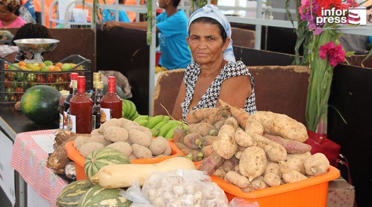 Agricultural products fair brings together “dozens” of farmers and livestock breeders in Chã de Mato/Ponte Sul Agricultural products fair brings together “dozens” of farmers and livestock breeders in Chã de Mato/Ponte Sul