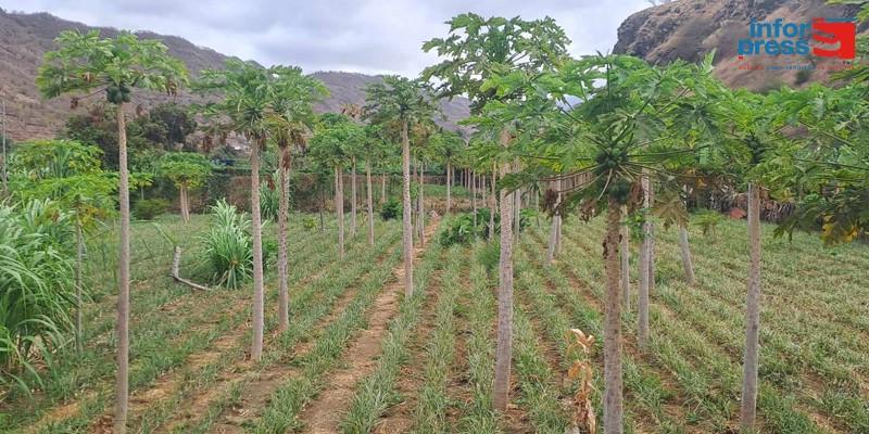 Farmers are already feeling the impacts of climate change and point to salinization as a “major concern” Farmers are already feeling the impacts of climate change and point to salinization as a “major concern”