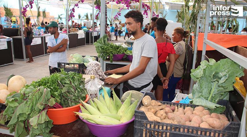 Porto Novo: Minister of Tourism urges farmers to take advantage of the tourist market in Sal and Boa Vista Porto Novo: Minister of Tourism urges farmers to take advantage of the tourist market in Sal and Boa Vista