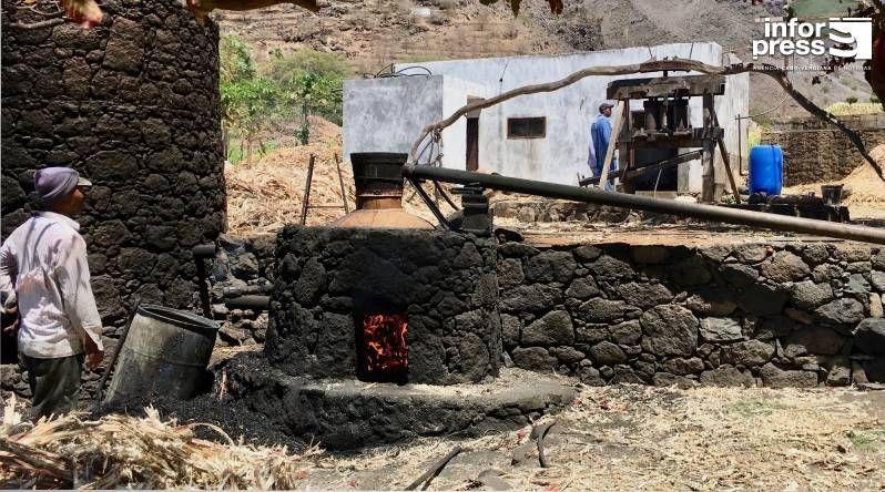 Santo Antão: Chromatograph will be Operating until the End of may to Support Grogue Quality Control – AMSA Santo Antão: Chromatograph will be Operating until the End of may to Support Grogue Quality Control – AMSA
