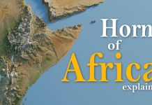 Ethiopia’s Role in Pragmatic Cooperation Beyond Nation-State Ethiopia's Role in Pragmatic Cooperation Beyond Nation-State