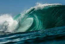 Fogo Island Hosts Fourth Ocean Decade Conference Fogo Island Hosts Fourth Ocean Decade Conference