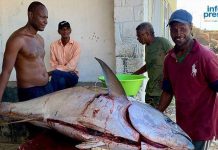 ACLCC Provides Cancer Screening in Underserved Areas ACLCC Provides Cancer Screening in Underserved Areas