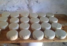 Producers View Northern Plateau Cheese Fair Favorably Producers View Northern Plateau Cheese Fair Favorably