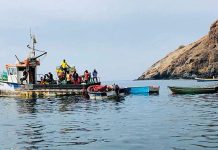 Agripesca Seeks Increased Support for Monte Trigo Fishermen Agripesca Seeks Increased Support for Monte Trigo Fishermen