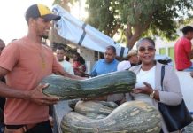 Porto Novo Hosts Successful Agricultural Fair in Lagoa Porto Novo Hosts Successful Agricultural Fair in Lagoa