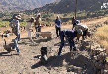 Porto Novo City Hall Creates Job Opportunities for Families Porto Novo City Hall Creates Job Opportunities for Families