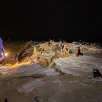 Bios.CV Warns of Fishing Tourism and Cats’ Impact Bios.CV Warns of Fishing Tourism and Cats' Impact