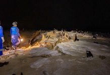 Bios.CV Warns of Fishing Tourism and Cats’ Impact Bios.CV Warns of Fishing Tourism and Cats' Impact