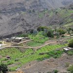 Tarrafal De Monte Trigo Praises Farmers’ Yam Recovery Tarrafal De Monte Trigo Praises Farmers' Yam Recovery