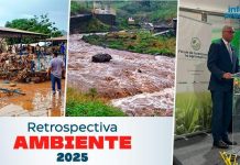 Tropical Storm Erin Shapes São Vicente’s 2025 Environment Tropical Storm Erin Shapes São Vicente's 2025 Environment