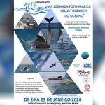 Exhibition Highlights Whale and Dolphin Conservation Cape Verde Exhibition Highlights Whale and Dolphin Conservation Cape Verde