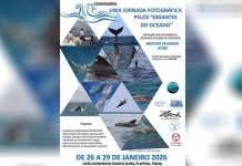 Exhibition Highlights Whale and Dolphin Conservation Cape Verde Exhibition Highlights Whale and Dolphin Conservation Cape Verde