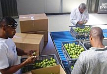 Porto Novo Decontamination Center for Higher Education Porto Novo Decontamination Center for Higher Education