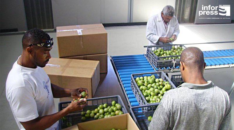 Porto Novo Decontamination Center for Higher Education Porto Novo Decontamination Center for Higher Education