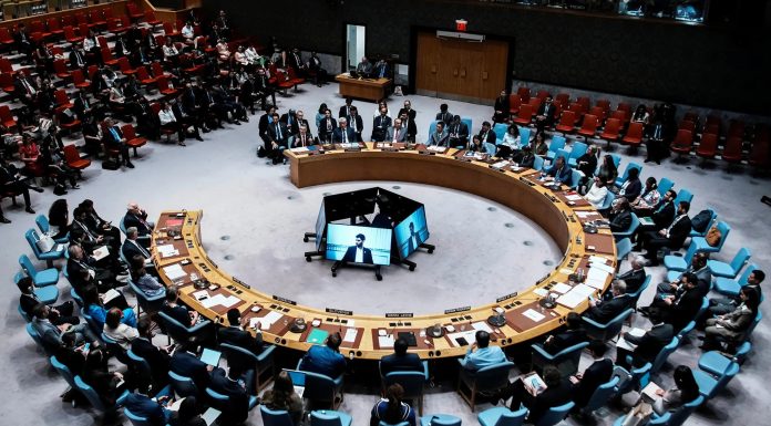 Why Granting UN Security Council Seats Without Veto Power Is Irrelevant for Africa? Why Granting UN Security Council Seats Without Veto Power Is Irrelevant for Africa?