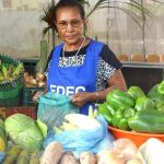 Women Entrepreneurs Revive Lajedos Agricultural Fair Women Entrepreneurs Revive Lajedos Agricultural Fair