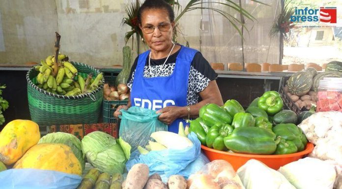 Women Entrepreneurs Revive Lajedos Agricultural Fair Women Entrepreneurs Revive Lajedos Agricultural Fair