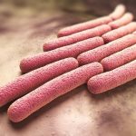 Shigella Reports Another Death Amid Government Denial Shigella Reports Another Death Amid Government Denial