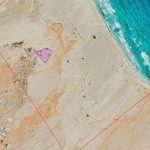 Sal Island Biodiversity Project Warns of Invasive Species Sal Island Biodiversity Project Warns of Invasive Species