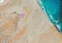 Sal Island Biodiversity Project Warns of Invasive Species Sal Island Biodiversity Project Warns of Invasive Species