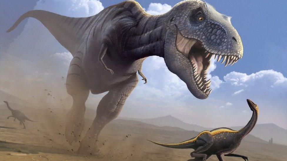 Dinosaures : six mythes sur ces animaux qui déroutent encore beaucoup de gens Dinosaures : six mythes sur ces animaux qui déroutent encore beaucoup de gens