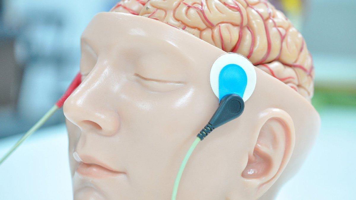 Science : les spécialistes des fusées et les chirurgiens du cerveau ne sont pas nécessairement plus intelligents – selon une étude Science : les spécialistes des fusées et les chirurgiens du cerveau ne sont pas nécessairement plus intelligents – selon une étude