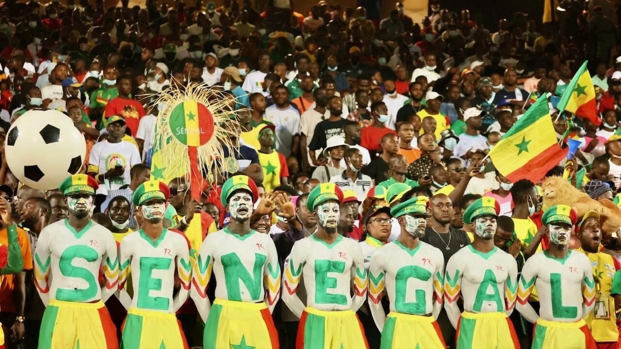CAN 2022 : S.E.N.E.G.A.L, l’histoire des 7 lettres qui supportent les Lions CAN 2022 : S.E.N.E.G.A.L, l’histoire des 7 lettres qui supportent les Lions