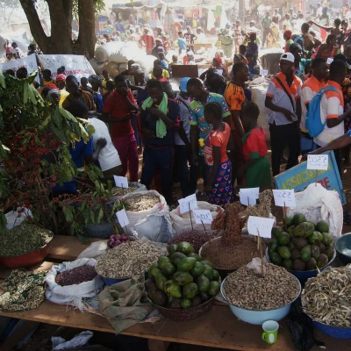 Centrafrique : la 17e édition de la foire agricole s’est terminée sur une note de satisfaction à Bozoum Centrafrique : la 17e édition de la foire agricole s’est terminée sur une note de satisfaction à Bozoum
