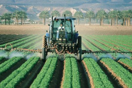 Parution d’une étude de SAIIA sur le rôle potentiel des BRICS dans le développement agricole africain Parution d’une étude de SAIIA sur le rôle potentiel des BRICS dans le développement agricole africain