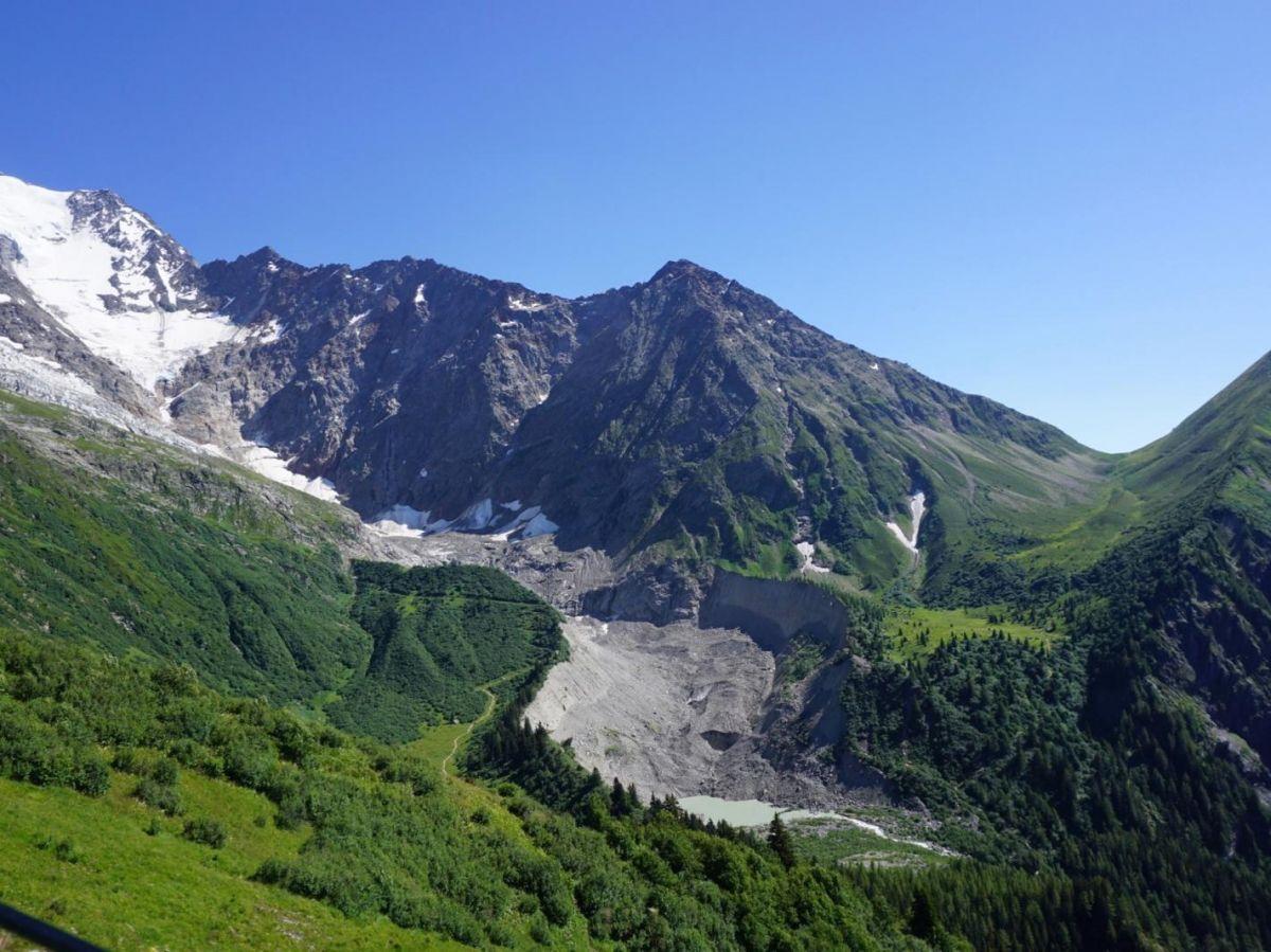 Le retour étonnant de la vie dans les zones libérées par les glaciers Le retour étonnant de la vie dans les zones libérées par les glaciers