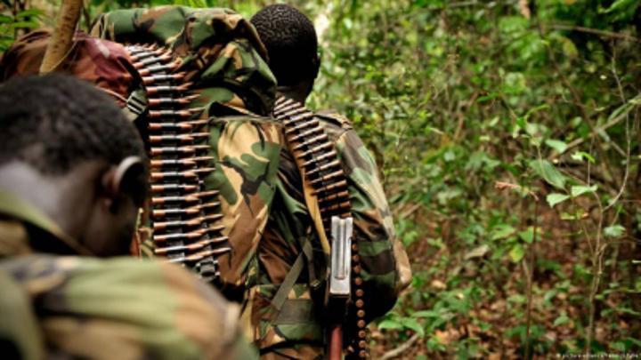 difficile réinsertion des ex-combattants de la LRA à Zémio difficile réinsertion des ex-combattants de la LRA à Zémio