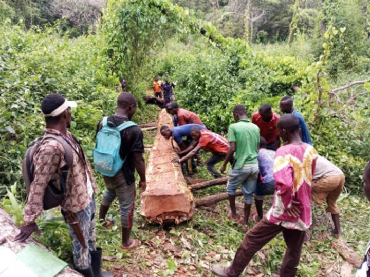 le désenclavement, objectif communautaire dans la Haute-Kotto le désenclavement, objectif communautaire dans la Haute-Kotto
