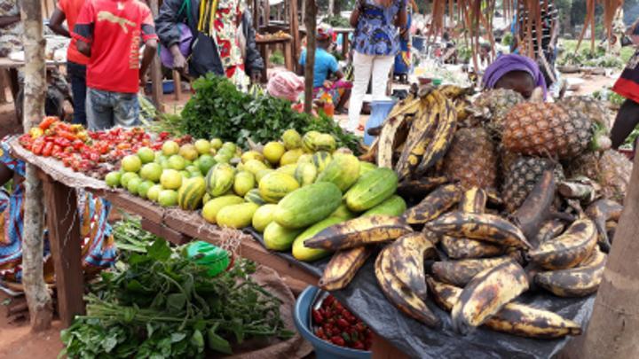 JMA : quel mode d’alimentation pour les familles centrafricaines ? JMA : quel mode d’alimentation pour les familles centrafricaines ?