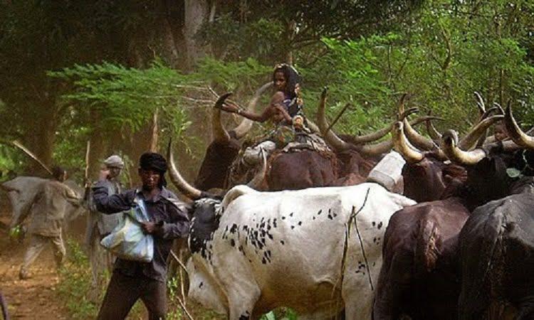 Transhumance apaisée dans le nord-est de la République centrafricaine : Des Stratégies en Discussion Transhumance apaisée dans le nord-est de la République centrafricaine : Des Stratégies en Discussion